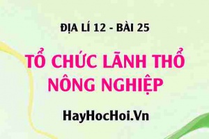 Tổ chức lãnh thổ nông nghiệp: Các nhân tố tác động, Các vùng nông nghiệp, Những thay đổi trong tổ chức lãnh thổ - Địa lí 12 bài 25